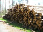 Сосна Технічна сировина |  М’яка деревина | Кругляк | Закупка ООО