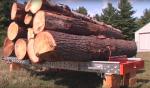 Пересувна стрічкова пилорама Kanada -HD36 |  Лісопильна техніка | Деревообробні механізми | Drekos Made s.r.o