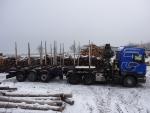 Лісовоз Scania R420 LA6x4,návěs Svan |  Транспортна і маніпуляційна техніка | Деревообробні механізми | JANEČEK CZ 