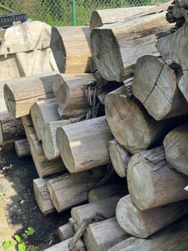 Тикове дерево Діловий кругляк |  Тропічна деревина | Кругляк | SOFT IT SP .ZO.O SPÓŁKA Z OGRANICZONĄ ODPO