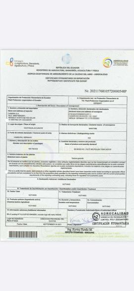 Тикове дерево Столярна пиломатеріали |  Тропічна деревина | Пиломатеріали | SOFT IT SP .ZO.O SPÓŁKA Z OGRANICZONĄ ODPO